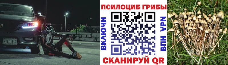 Купить закладки  Енисейск  Галлюциногенные грибы мицелий 